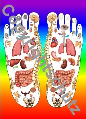 Fußreflexzonen mit Organbildern Postkarte